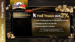 Tìm hiểu tổng quan về chính sách khuyến mãi TOP88